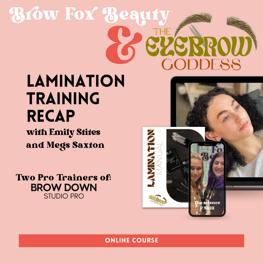 Eyebrow Goddess x Brow Fox Lamination Training Recap